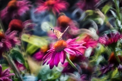 65942145_373220759997415_8219051014800539648_n