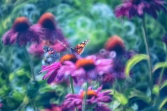 66118233_373220903330734_3047254999882006528_n